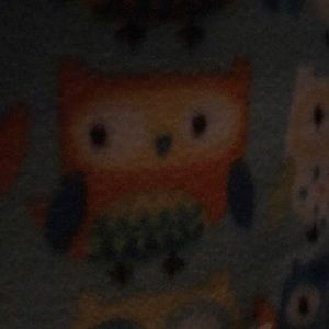 Meet your Posher, Patty